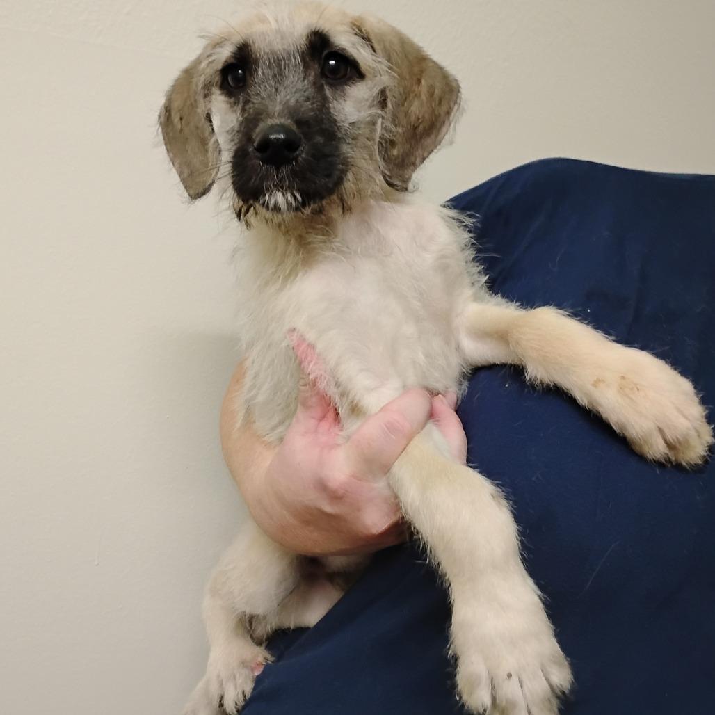 Benjamin thumbnail 4