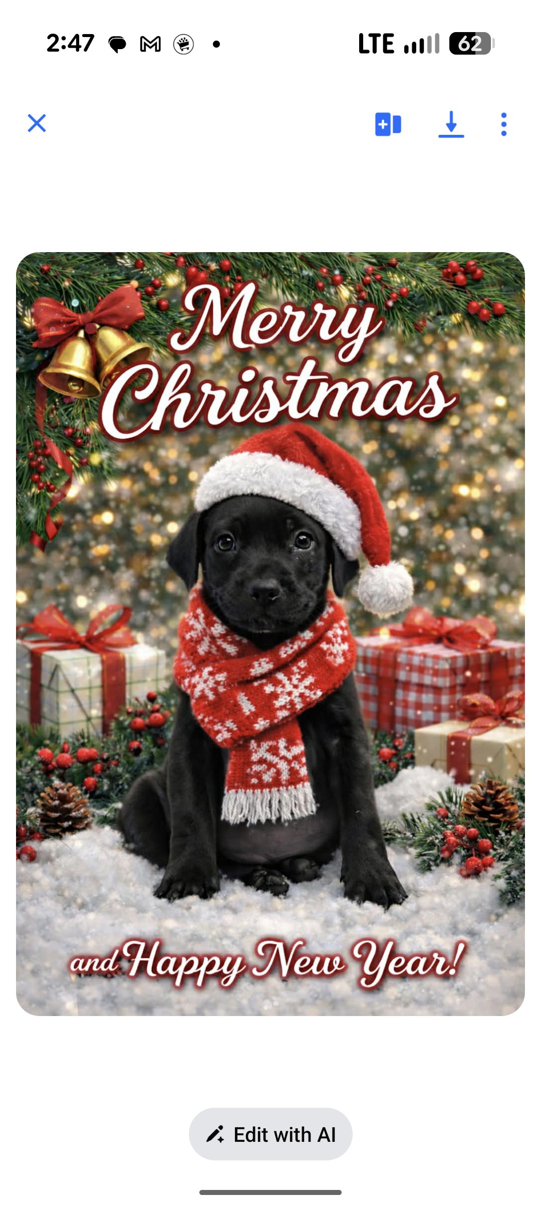 CANDY, adopted, Puppy Female Pit Bull Terrier & Labrador Retriever.