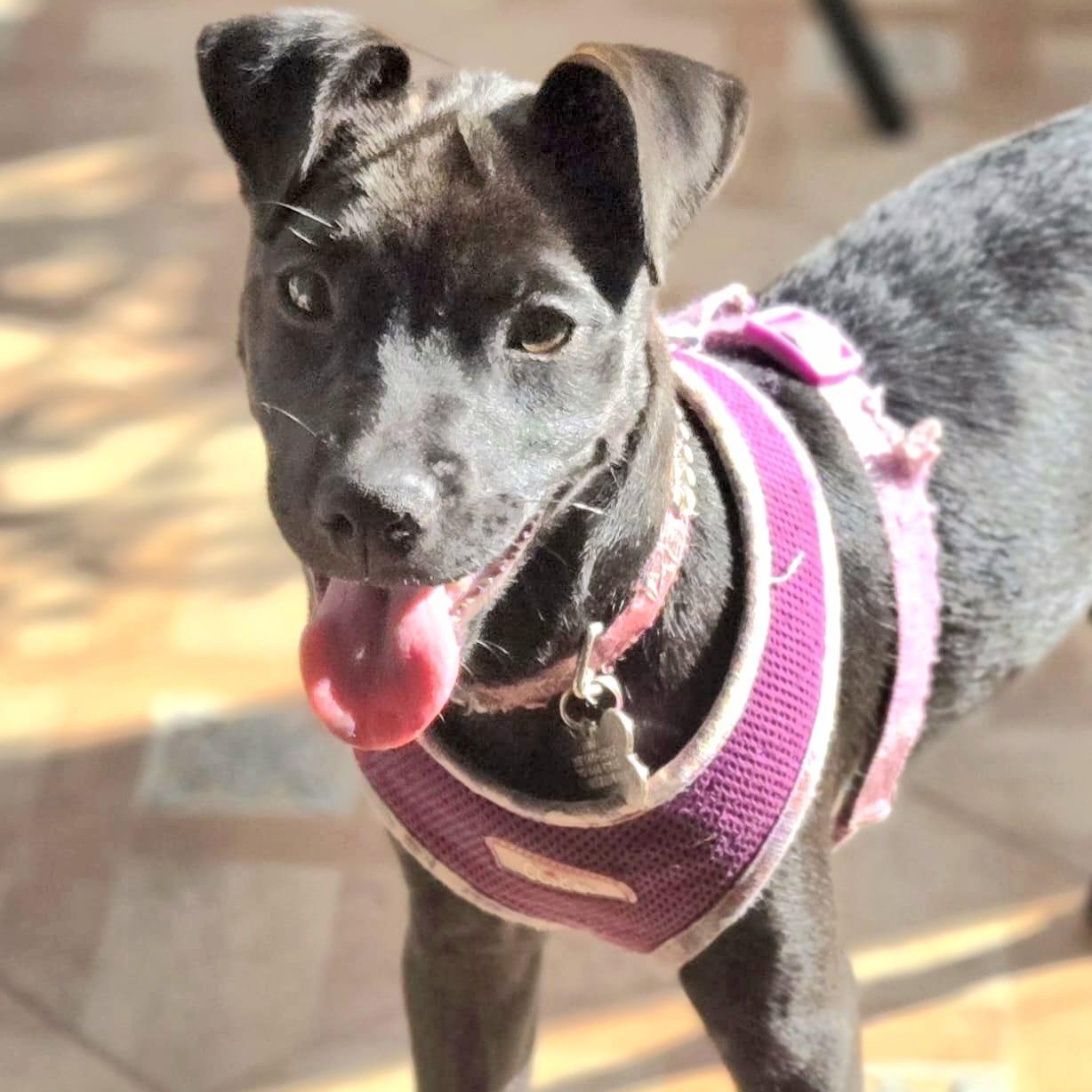 Hade "your Sweetest Angel."