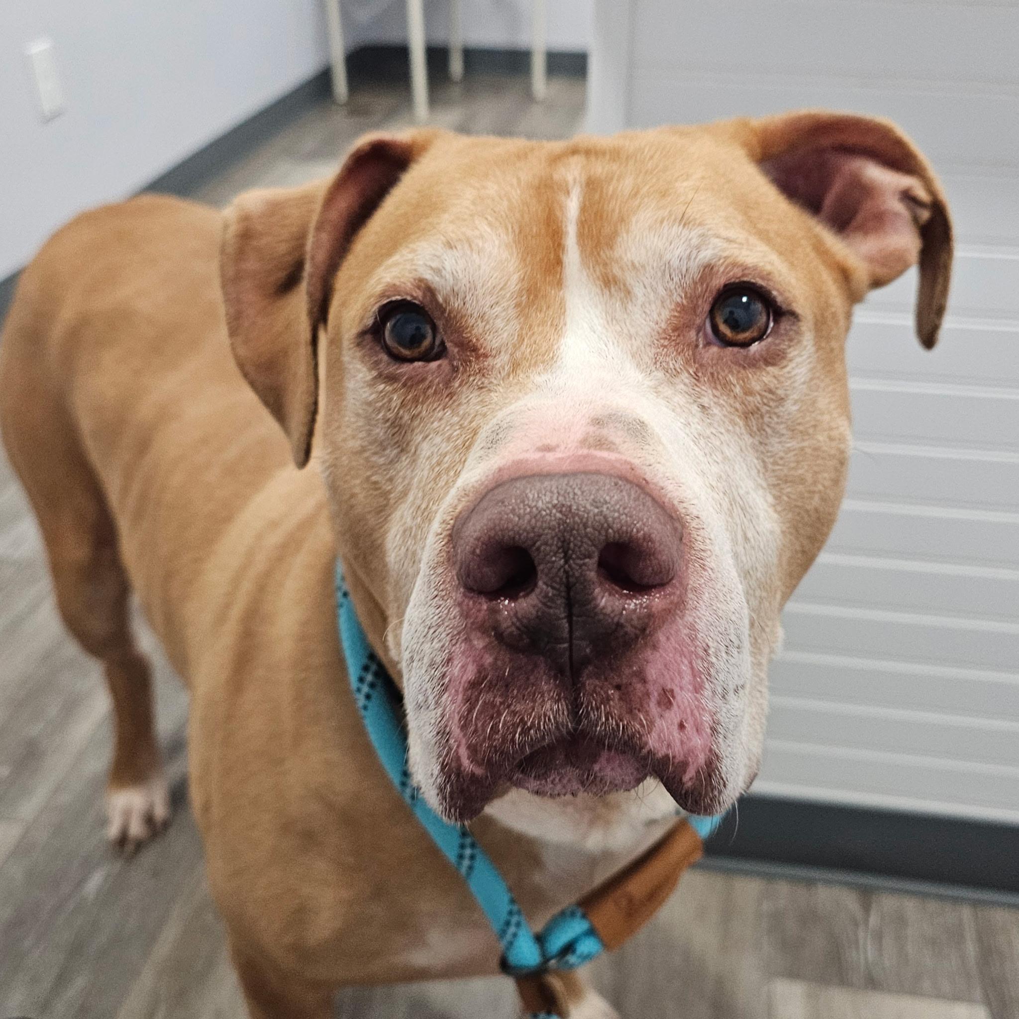 Walter