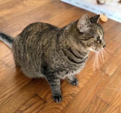 Mila — thumbnail 3