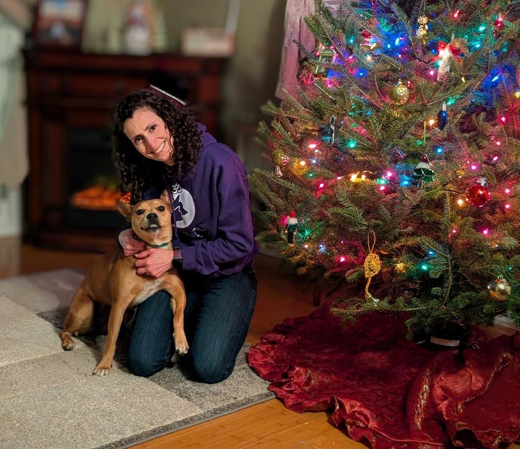 Enlarge Lucy, a Adoptable mixed breed in Shermans Dale, PA image 6/6