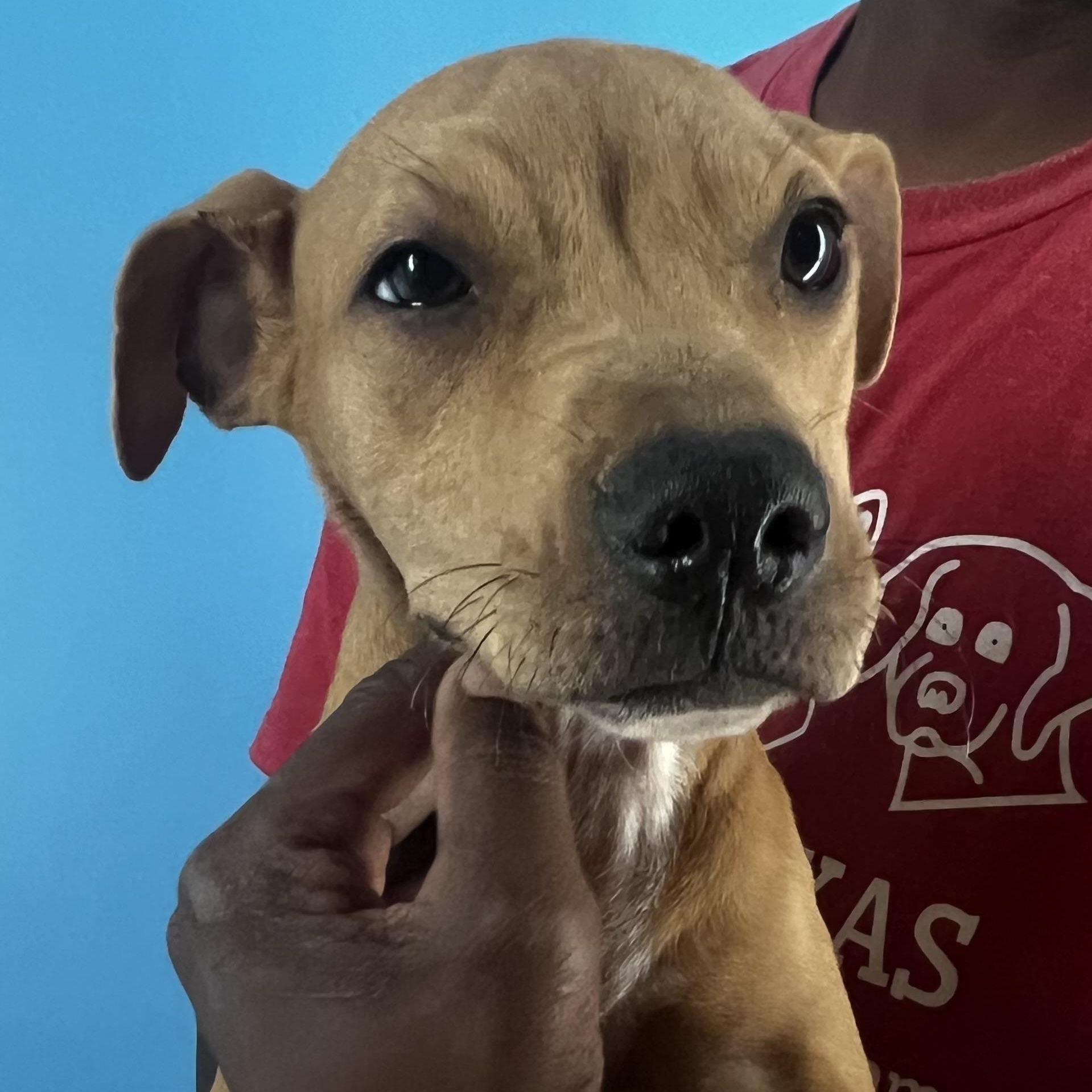 Stoney  Local Oct thumbnail 6