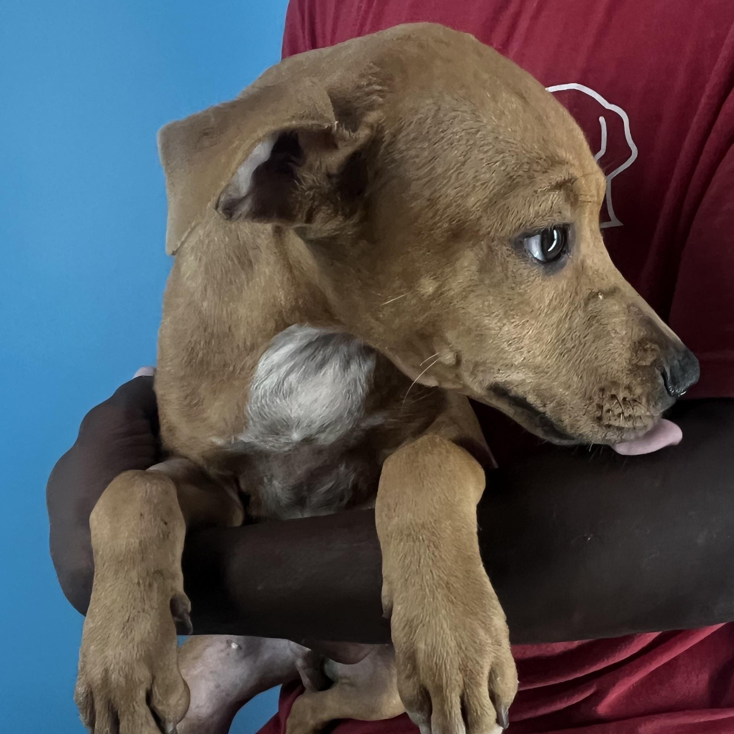 Stoney  Local Oct thumbnail 4