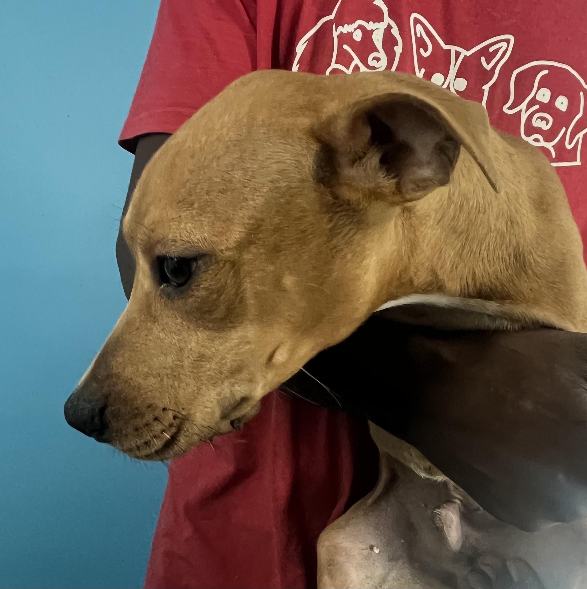 Stoney  Local Oct thumbnail 5