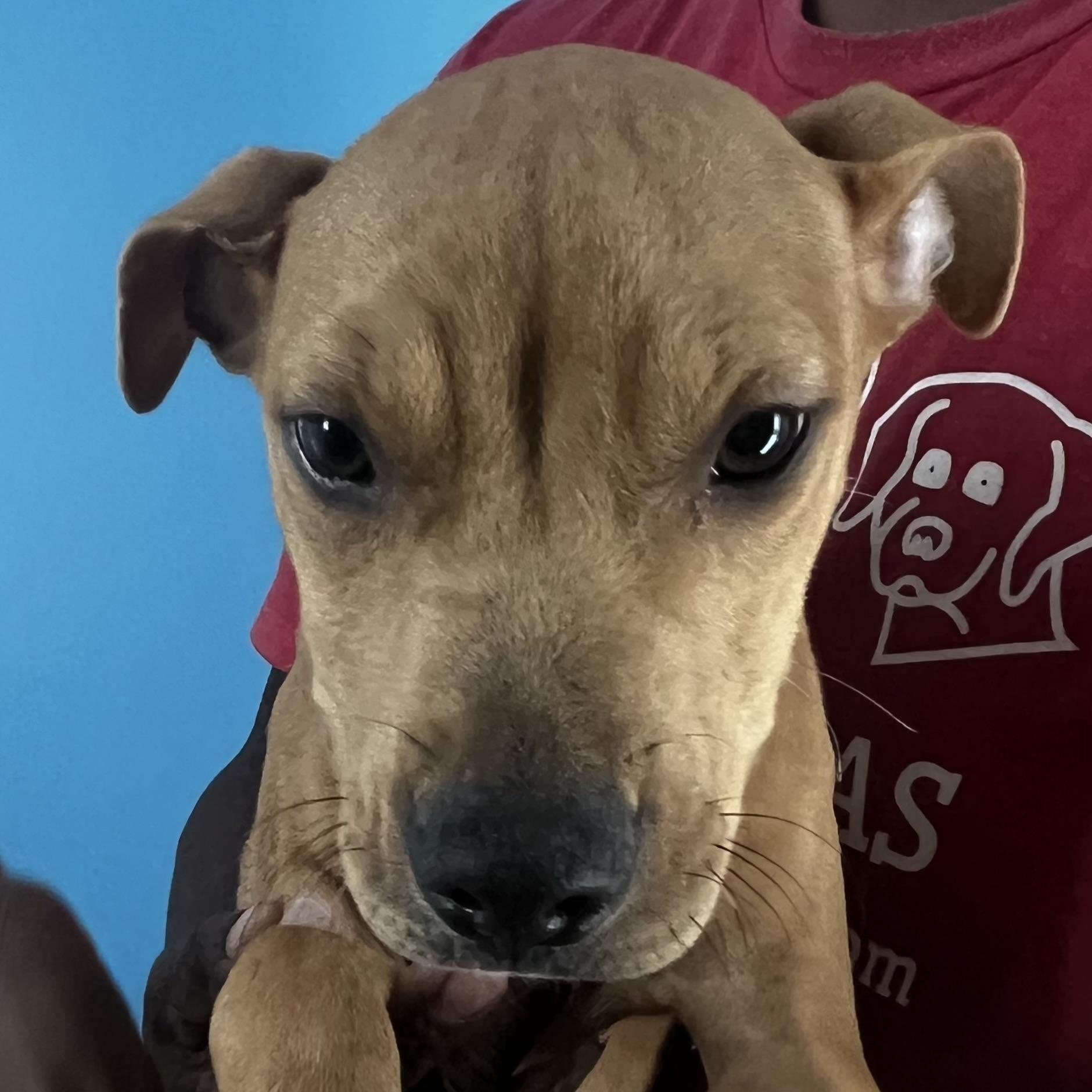 Stoney  Local Oct thumbnail 2