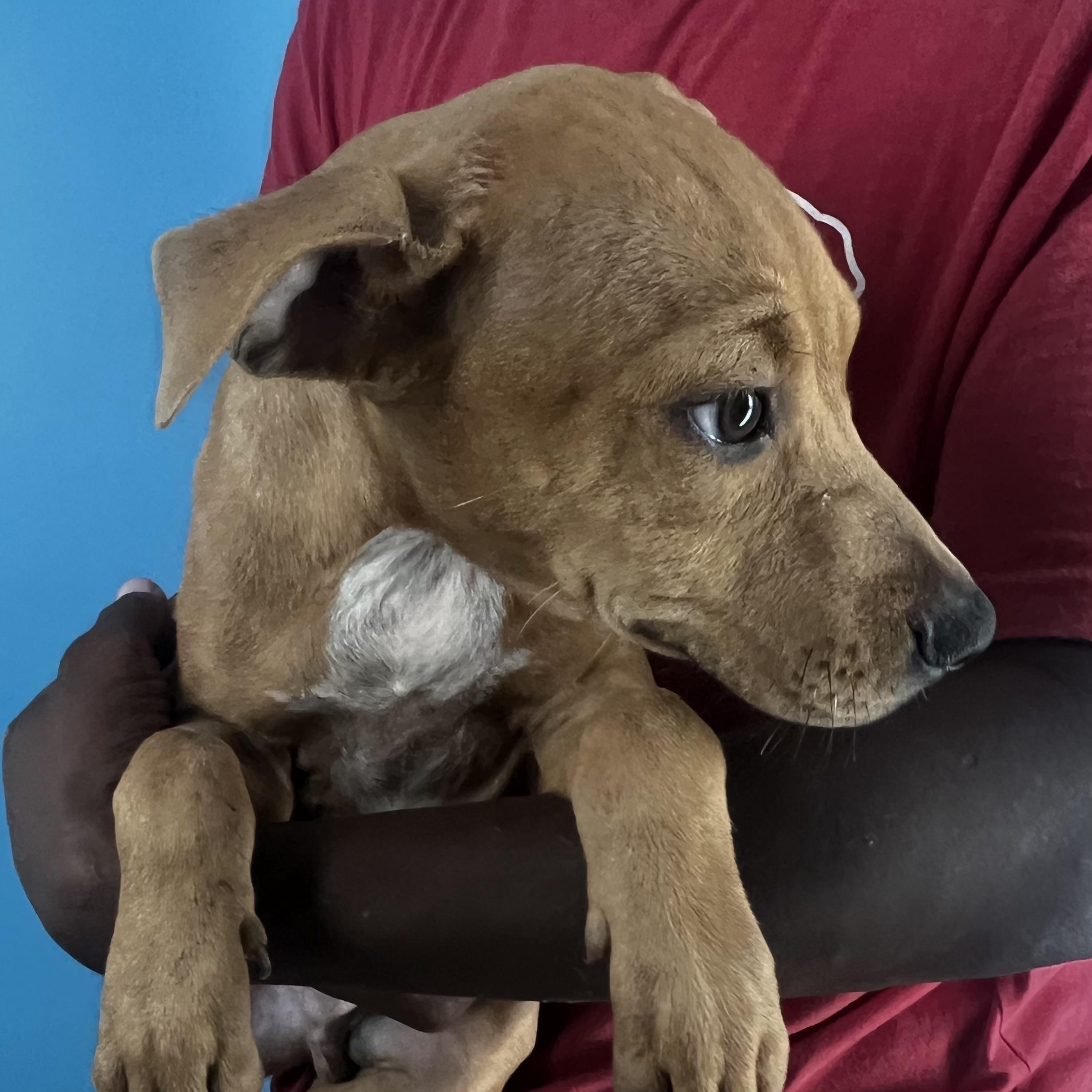 Stoney  Local Oct thumbnail 3