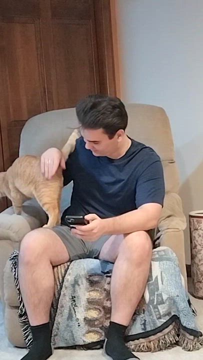 Enlarge MURRAY, a Adoptable mixed breed in Wexford, PA video 2/4