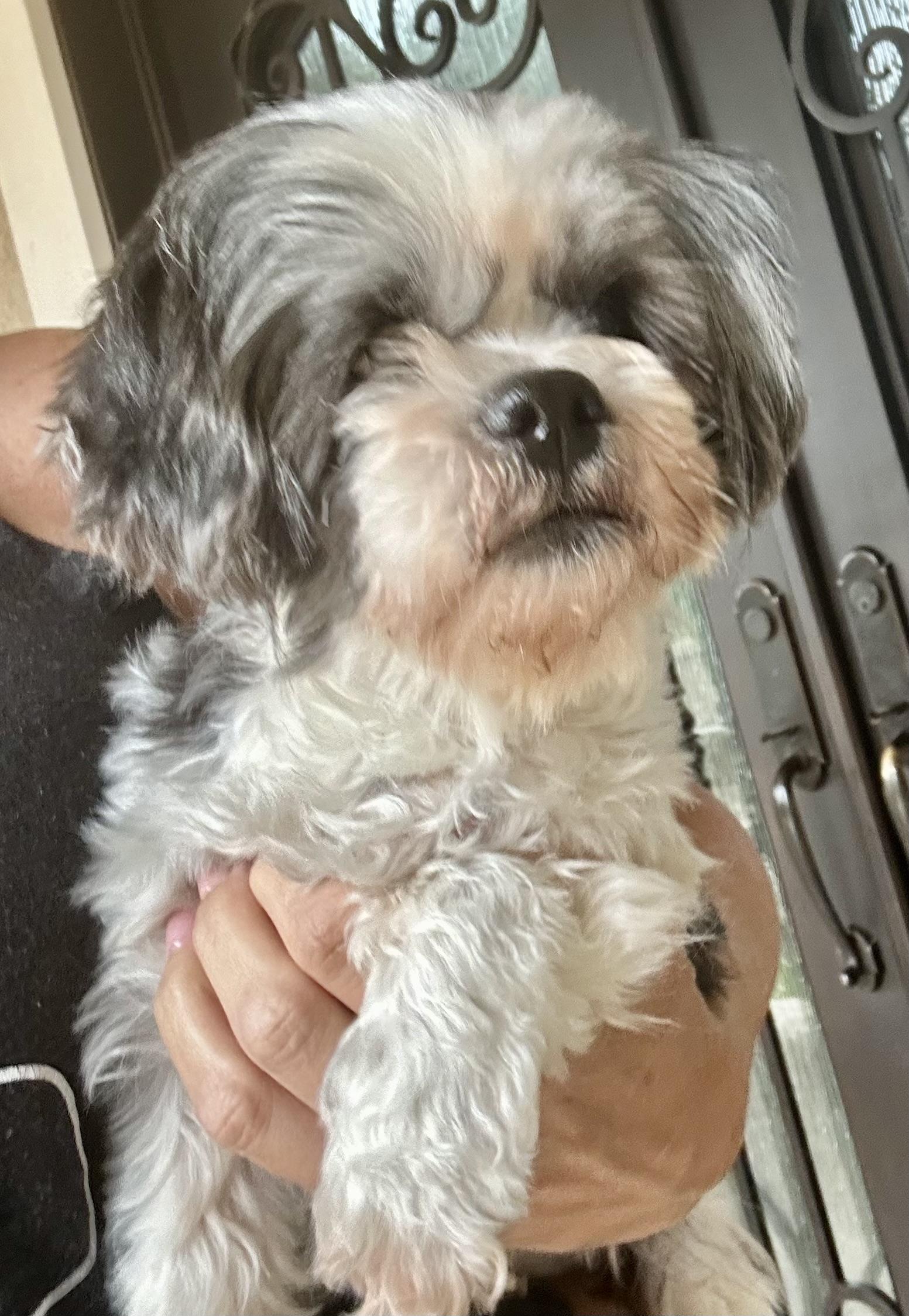 Princess Blinky
