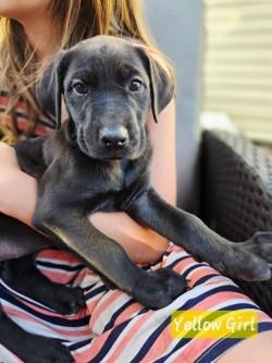 Color Crew - Magenta, Purple, Orange, Red, Yellow