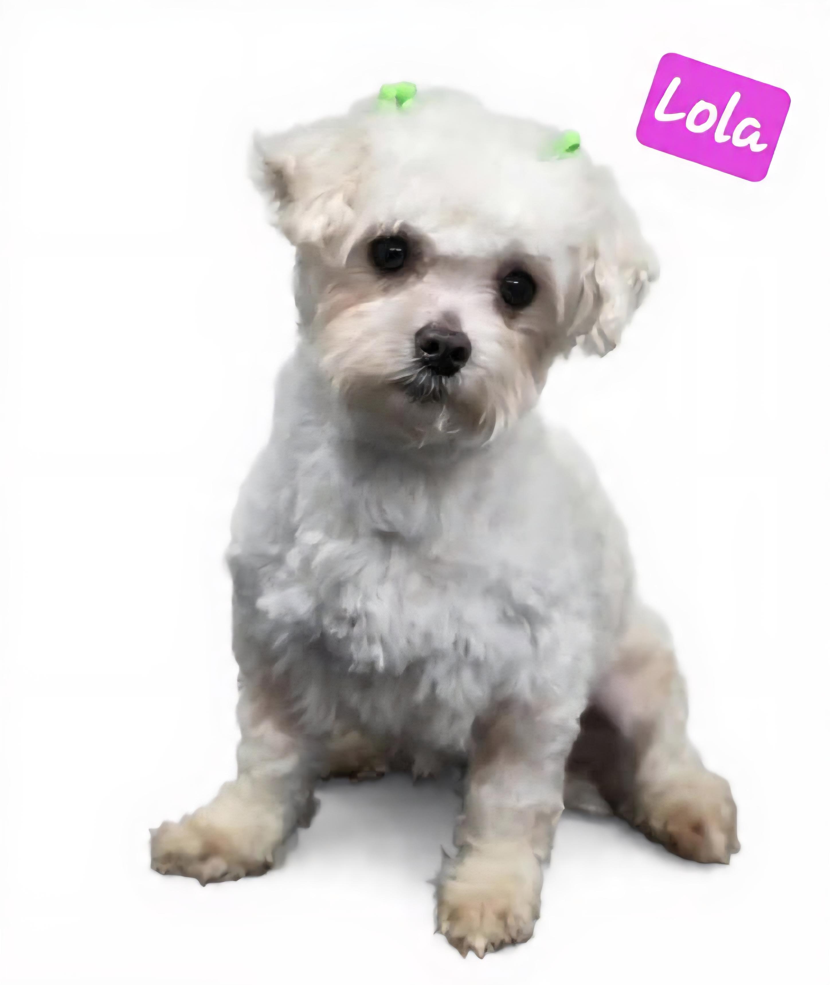 Lola