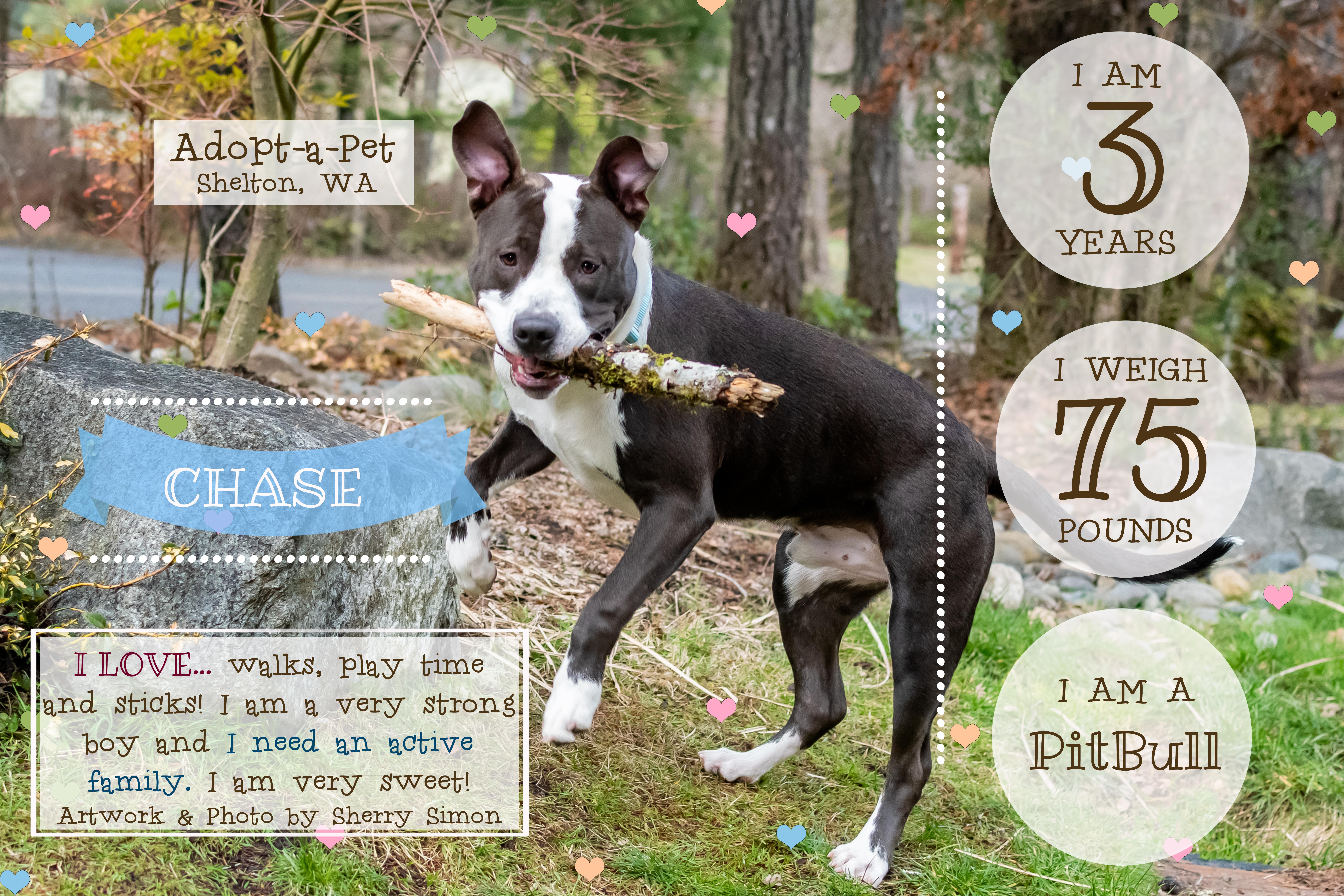 CHASE photo 1