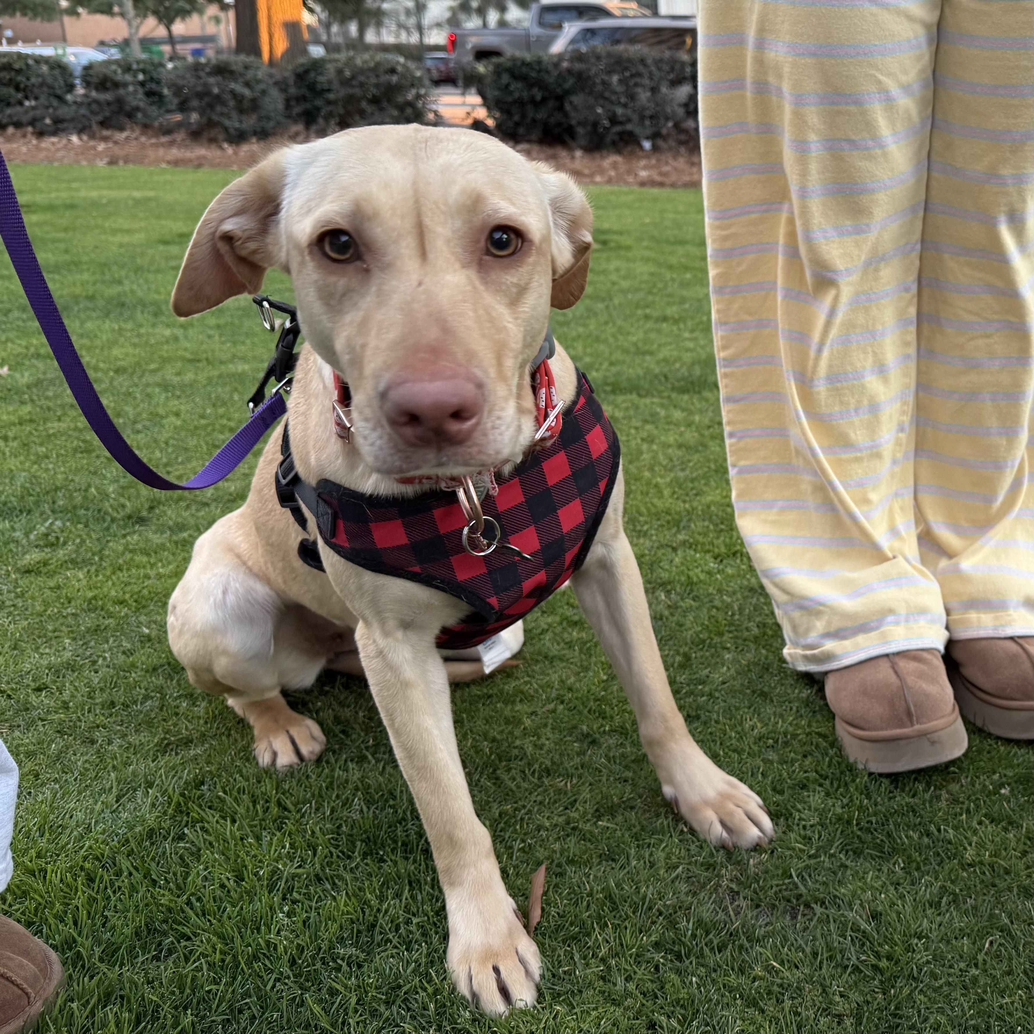 Wendy Williams — thumbnail 5