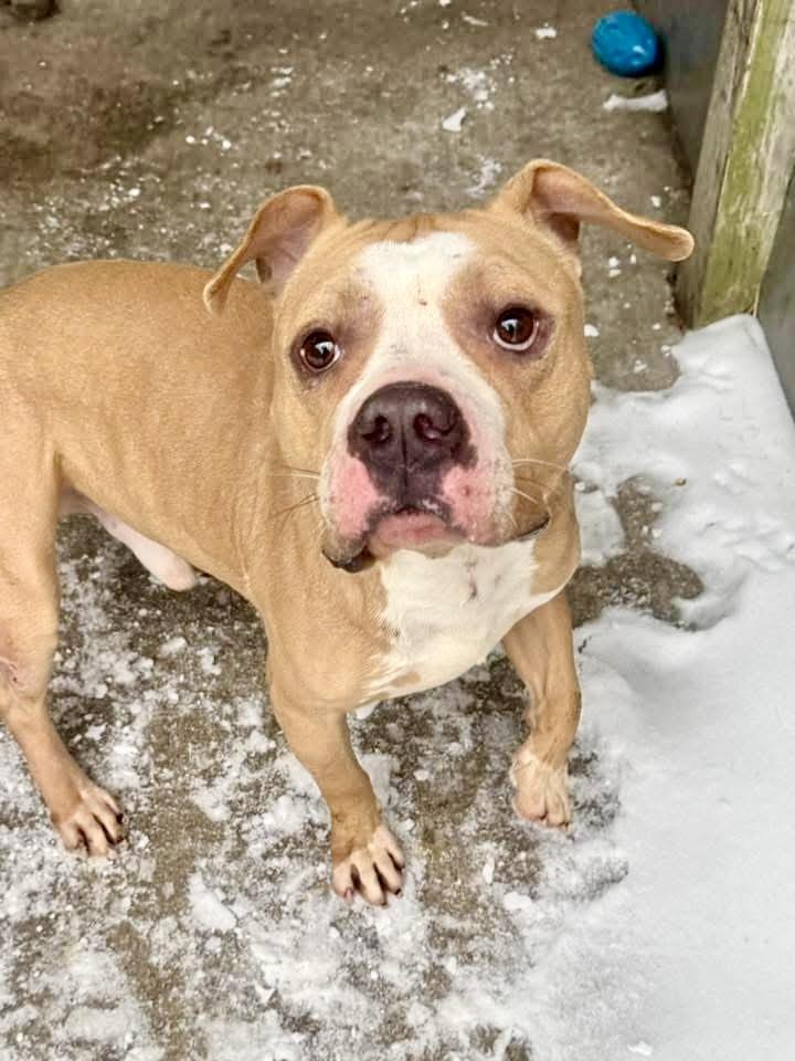 Chunk — thumbnail 2