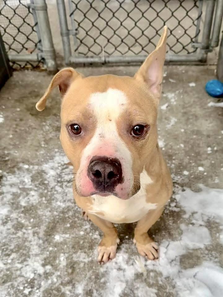 Chunk — thumbnail 3