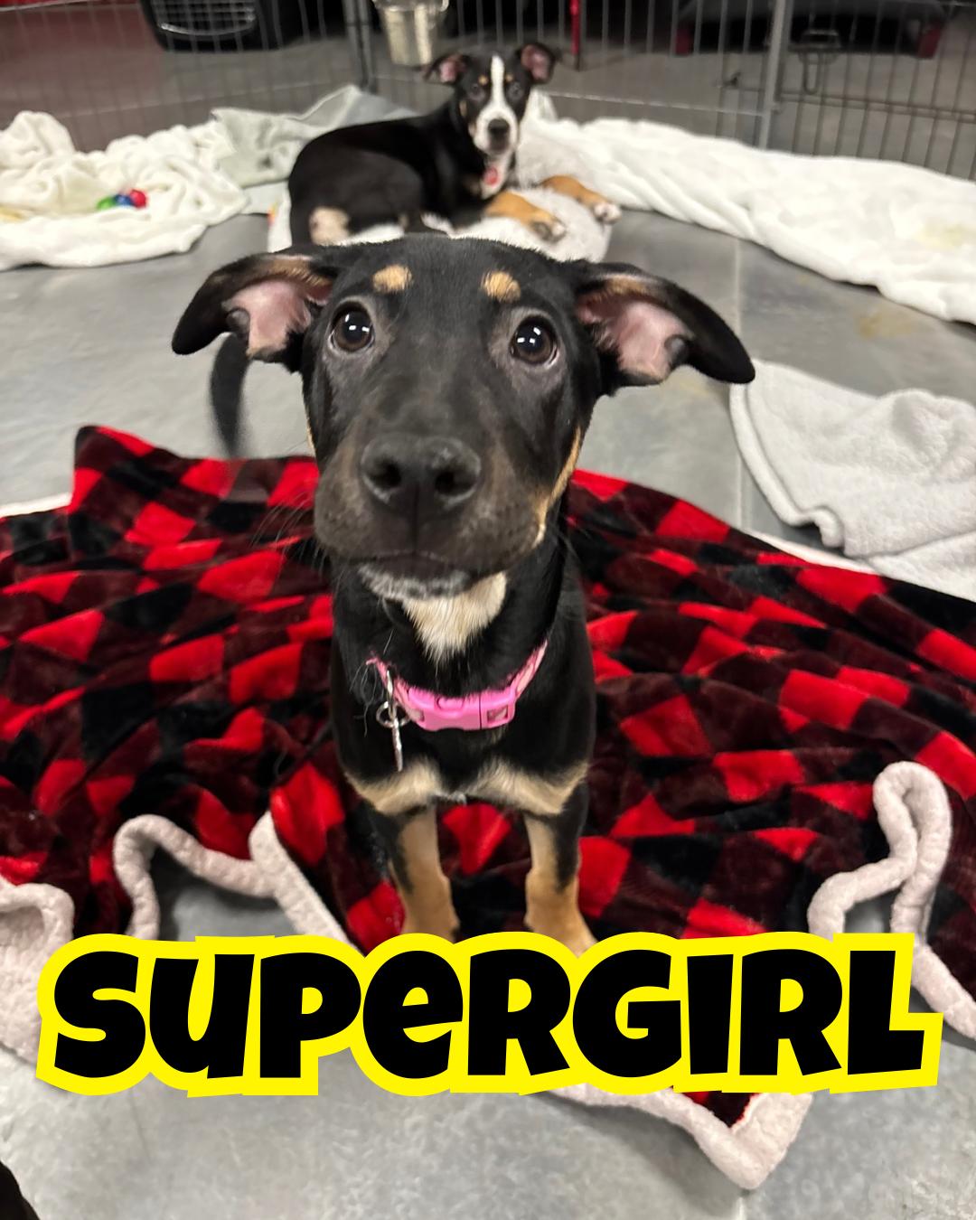Supergirl