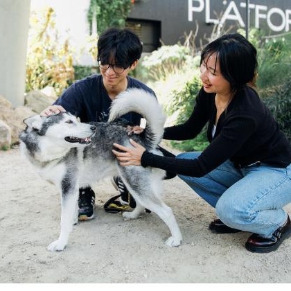 Enlarge Anita, a ADOPTABLE mixed breed in Burbank, CA image 2/6