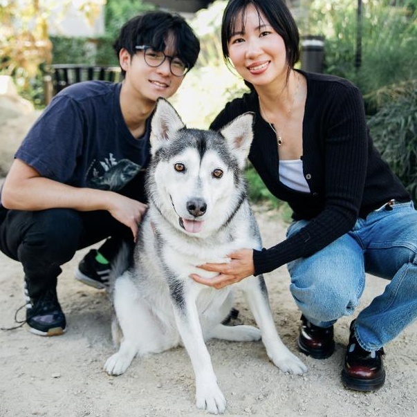 Enlarge Anita, a ADOPTABLE mixed breed in Burbank, CA image 3/6