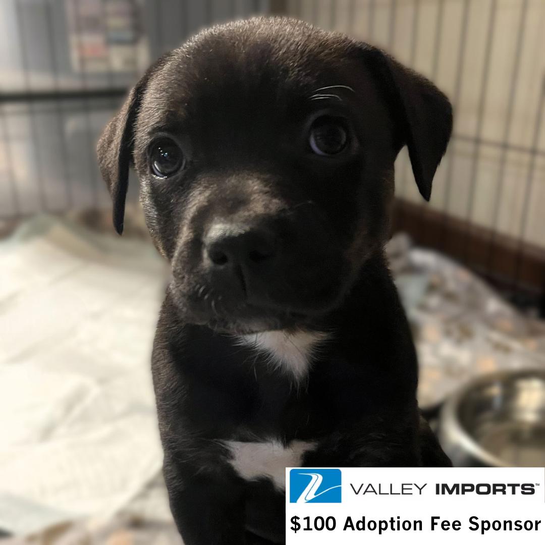 City — thumbnail 2