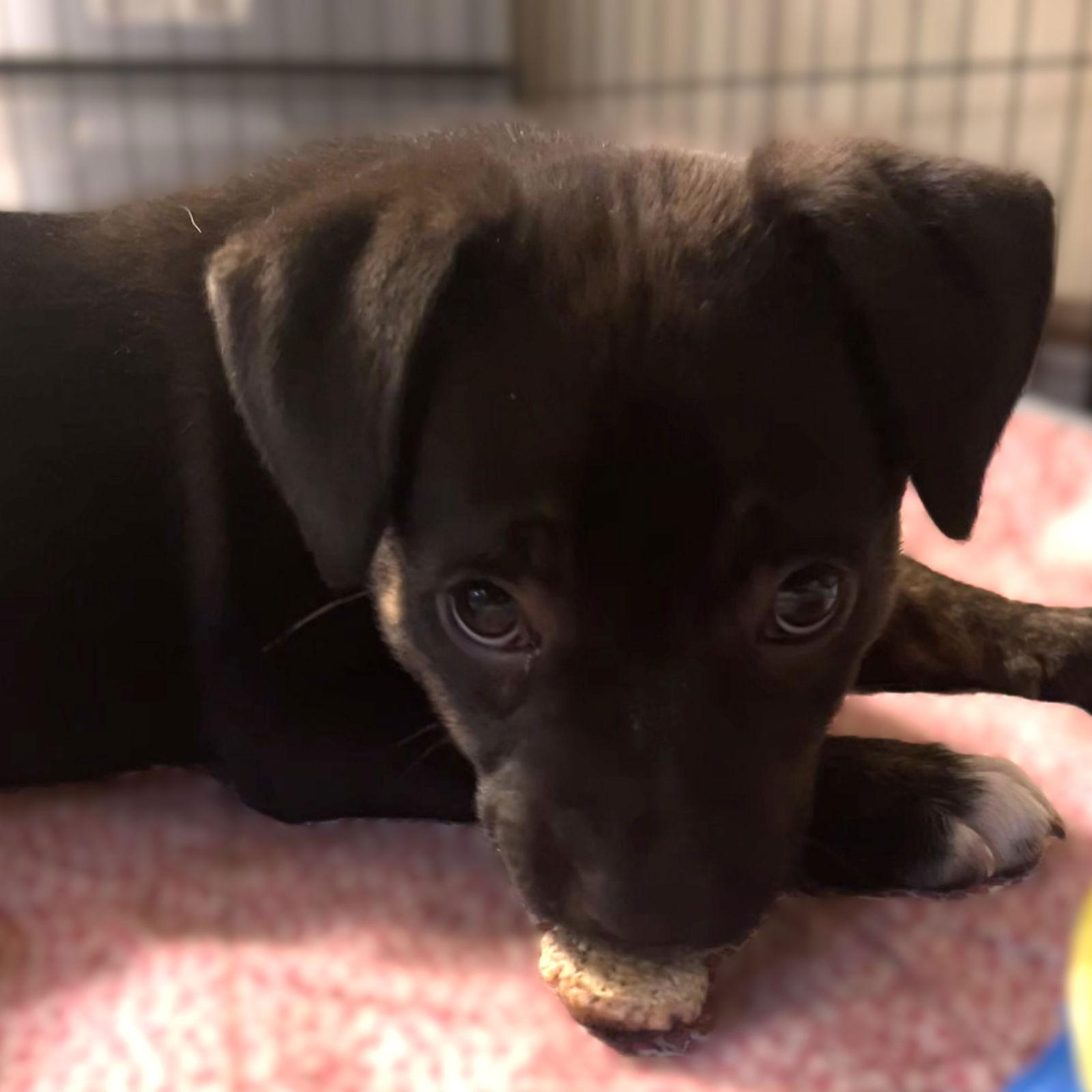 City — thumbnail 3