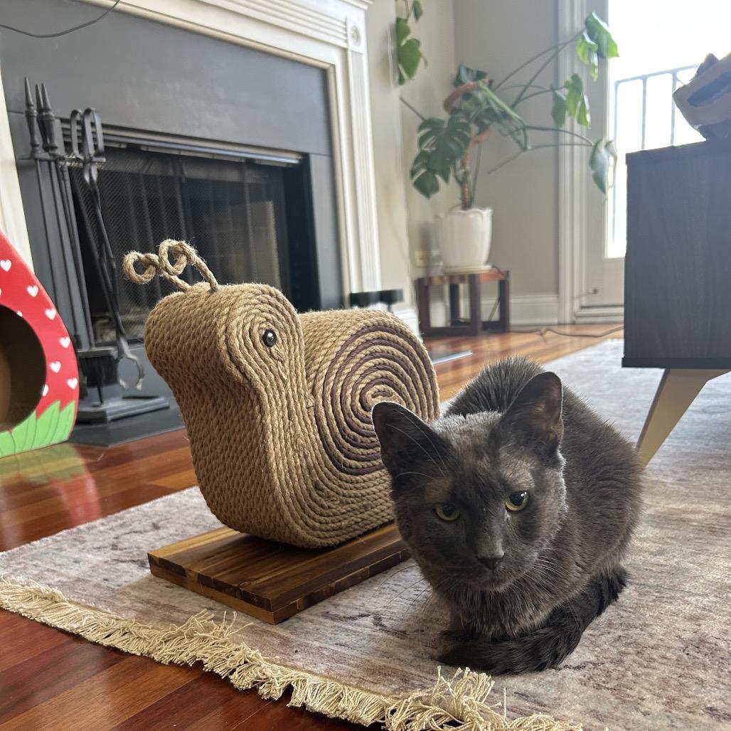 Mr. Whiskers photo