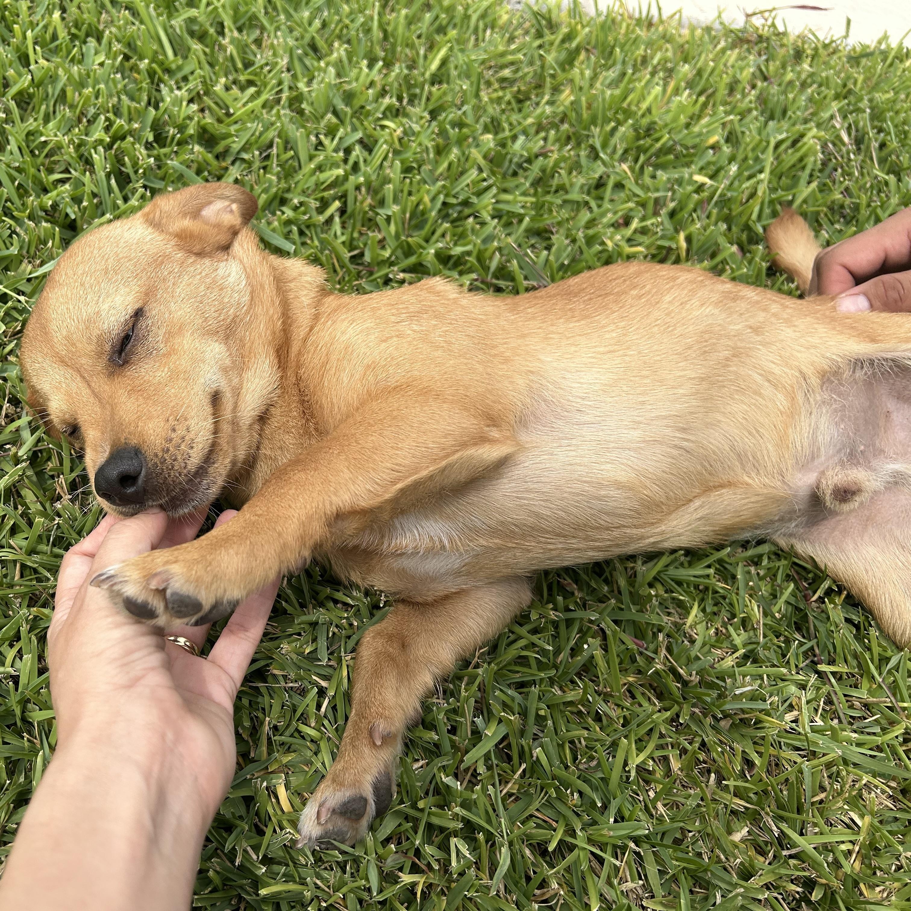Chance photo 4