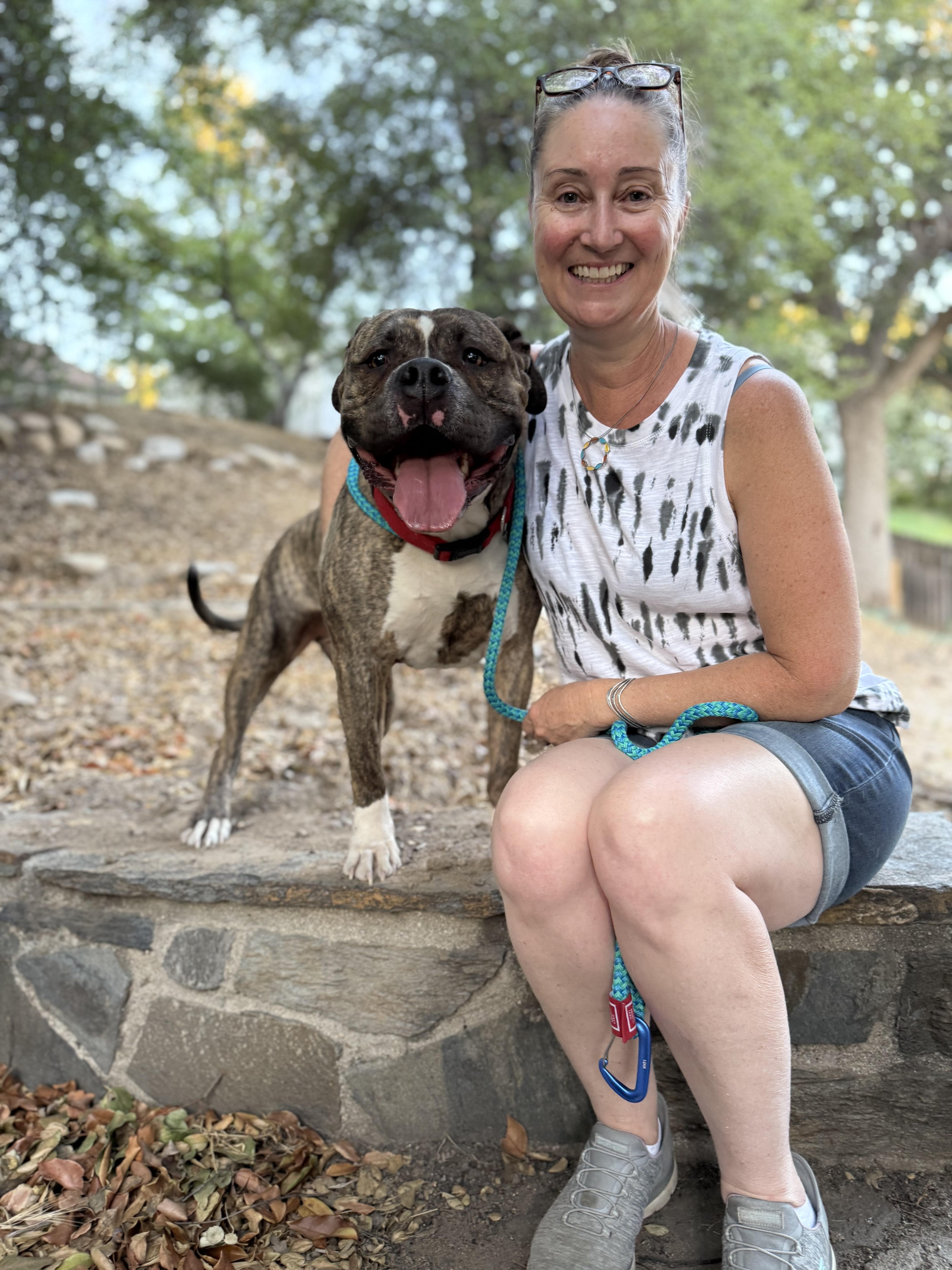 Fozzy, a Adoptable mixed breed in Studio City, CA image 4/5