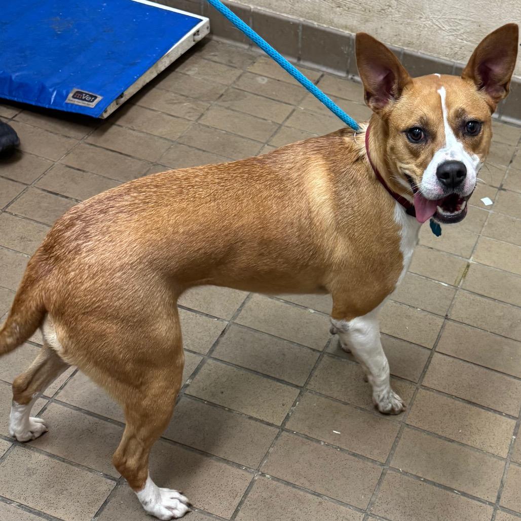 Princess — thumbnail 2