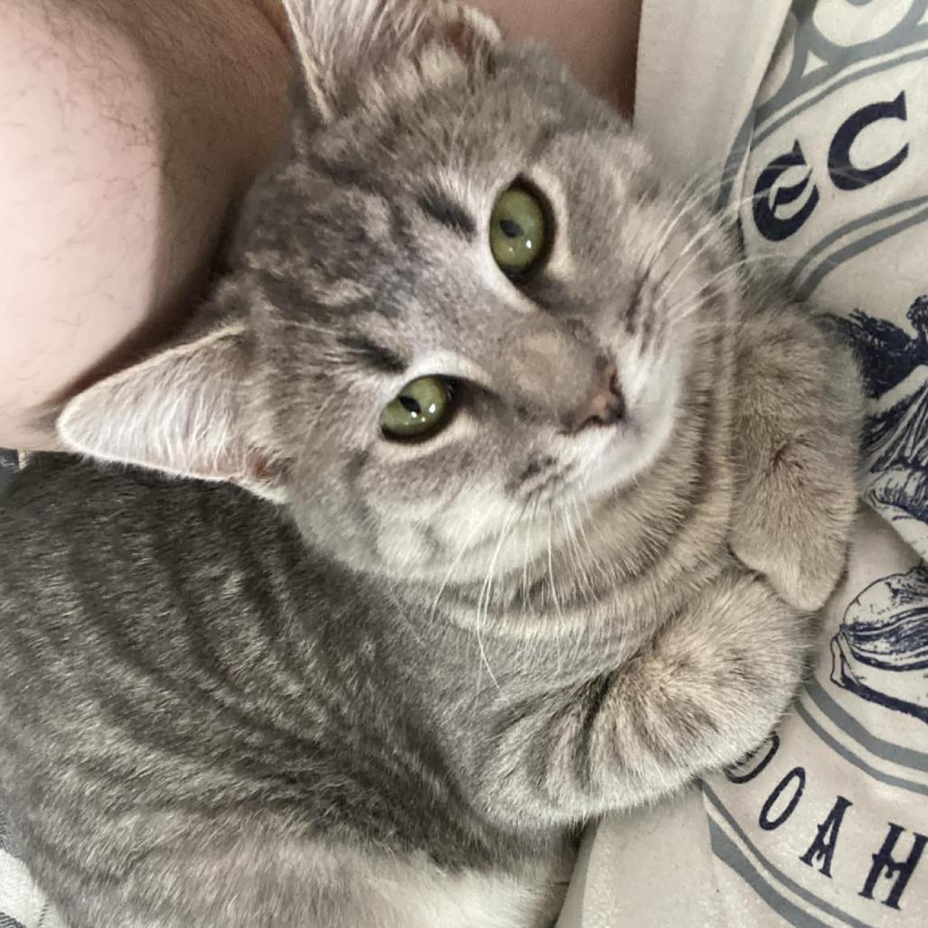 Sage — thumbnail 3