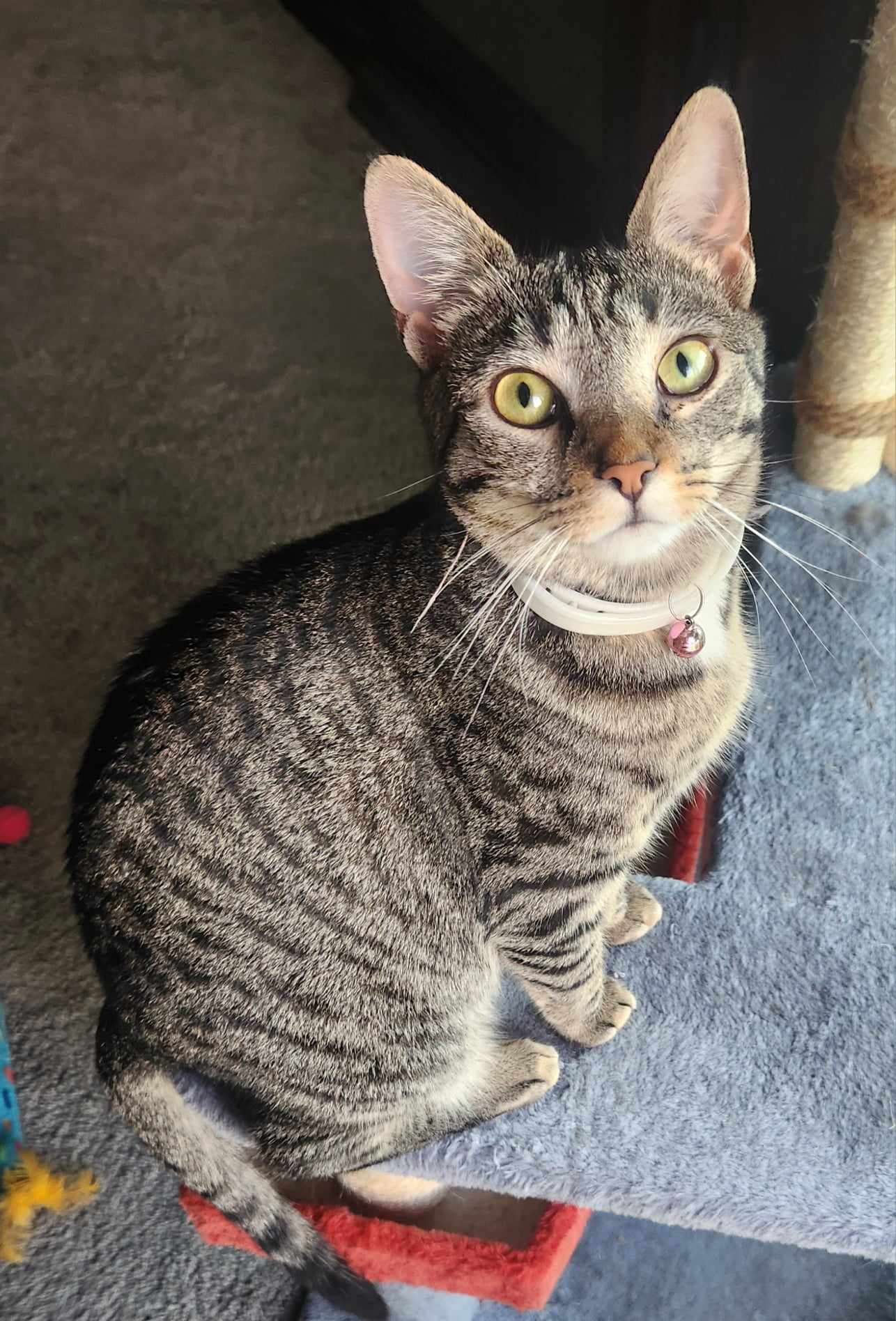 Rosie