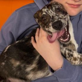 Richard — thumbnail 3