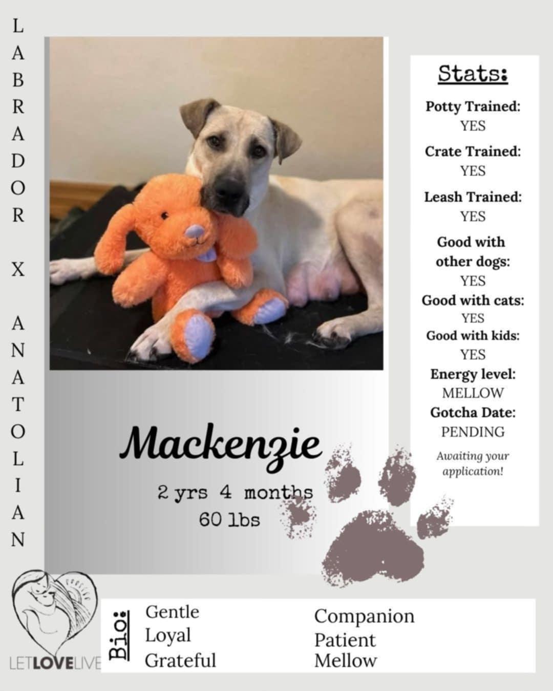 Mackenzie