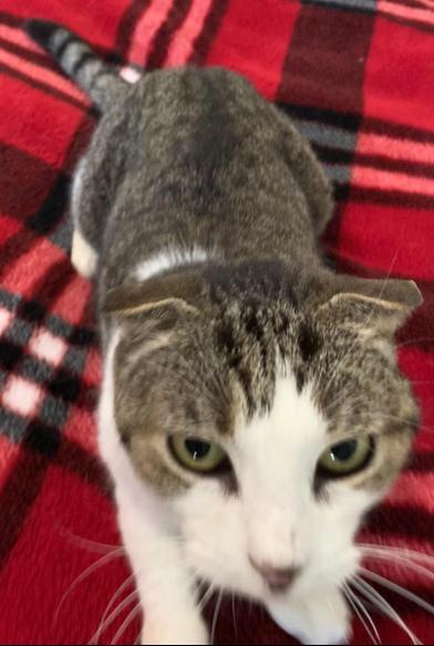 Sydney — thumbnail 4