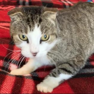 Sydney — thumbnail 6