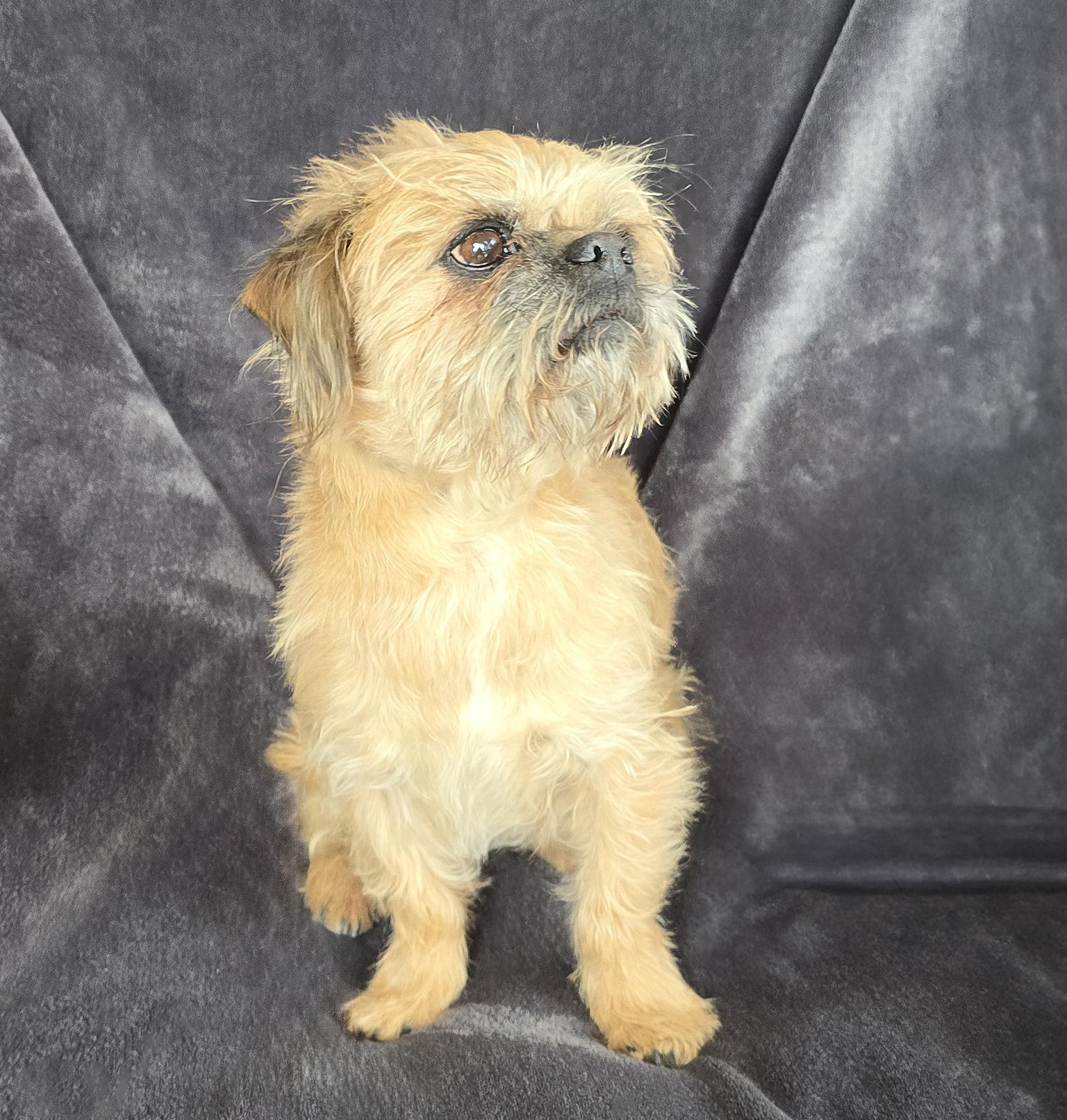 ​brilliant Lil Mr Bentaly thumbnail 2