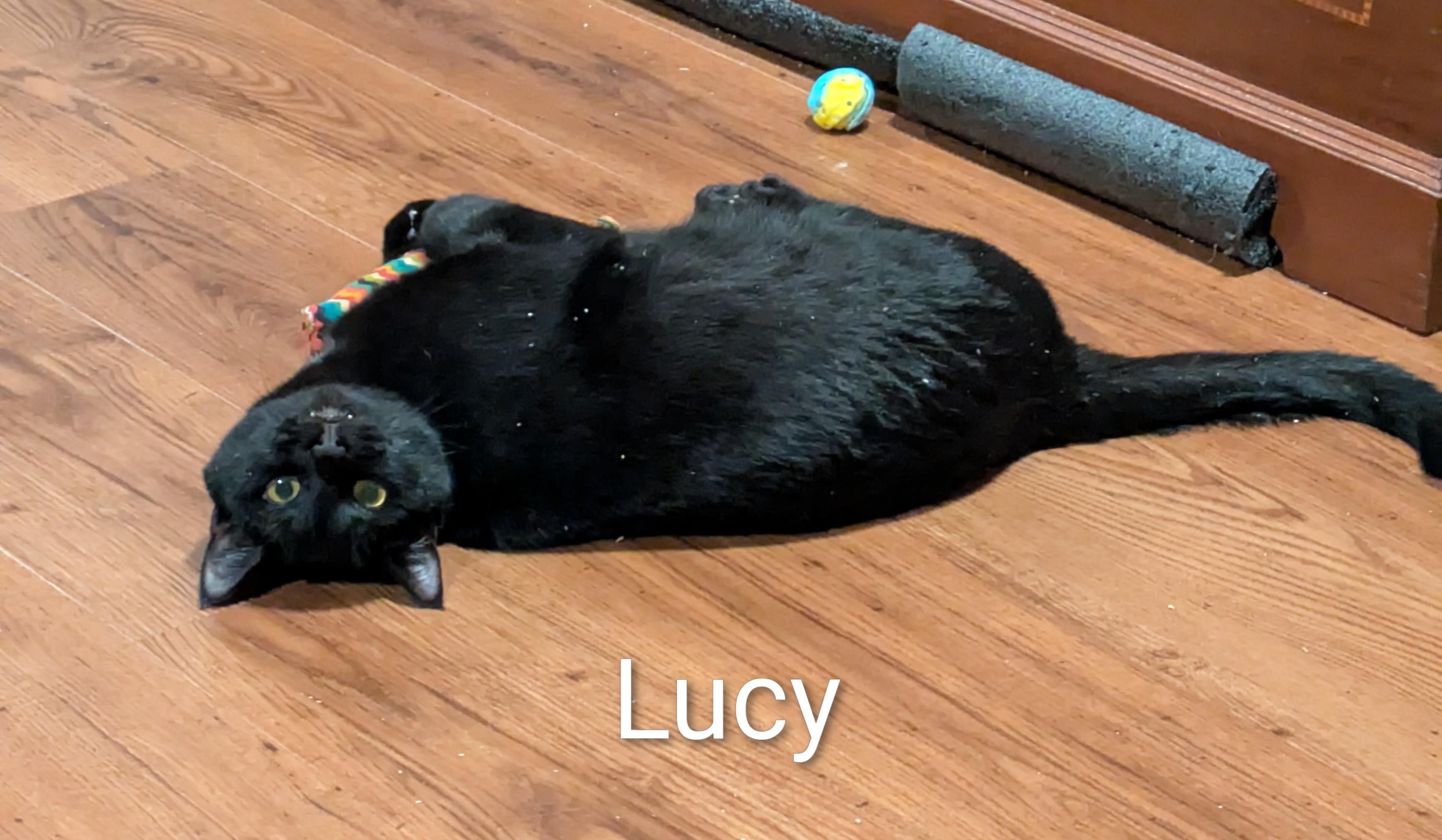 Lucy
