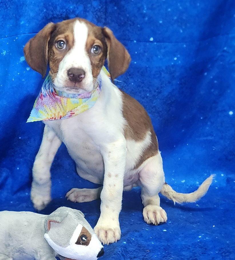 260304 Louie — thumbnail 3