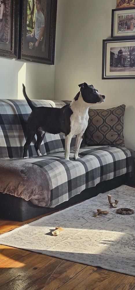 Penny — thumbnail 2