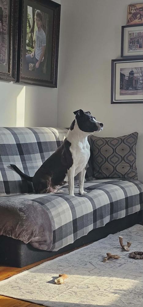 Penny — thumbnail 3