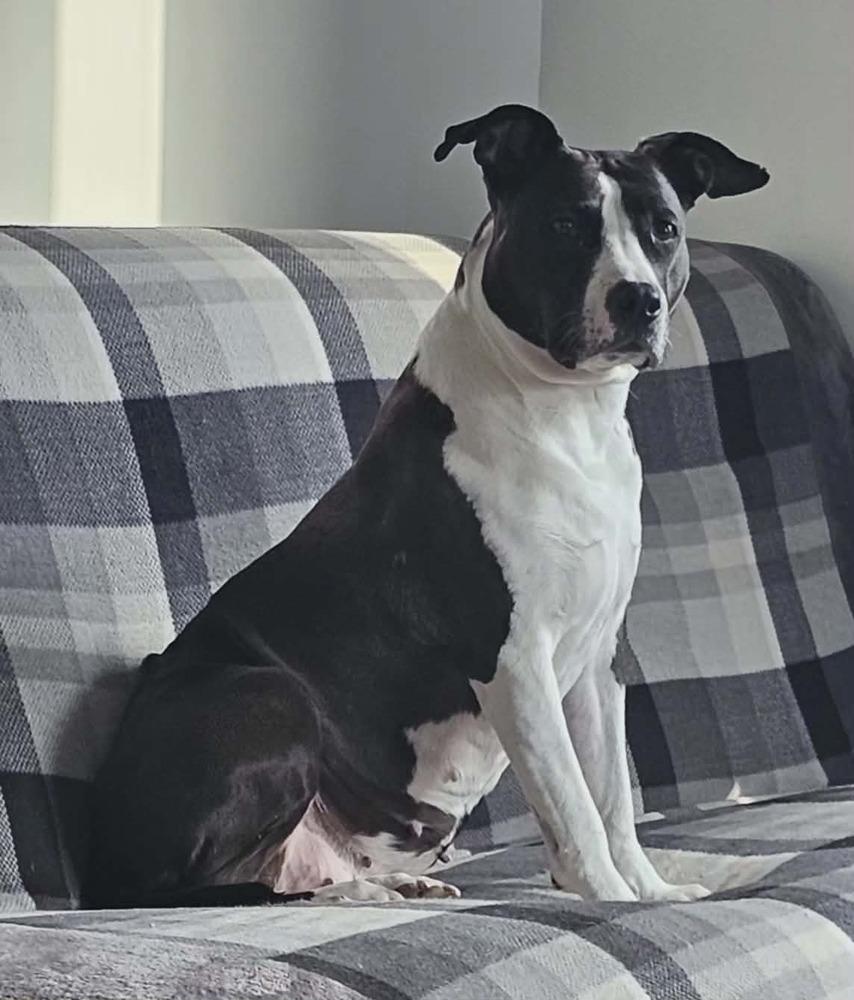 Penny — thumbnail 6