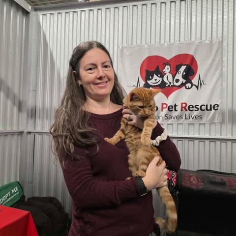 Enlarge Marma, an adopted mixed breed in Chicago, IL image 2/6