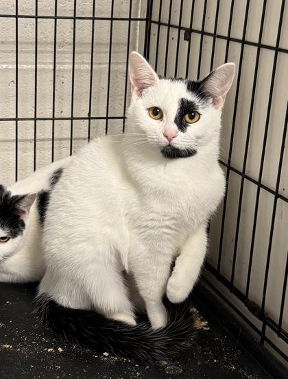 Paula — thumbnail 2