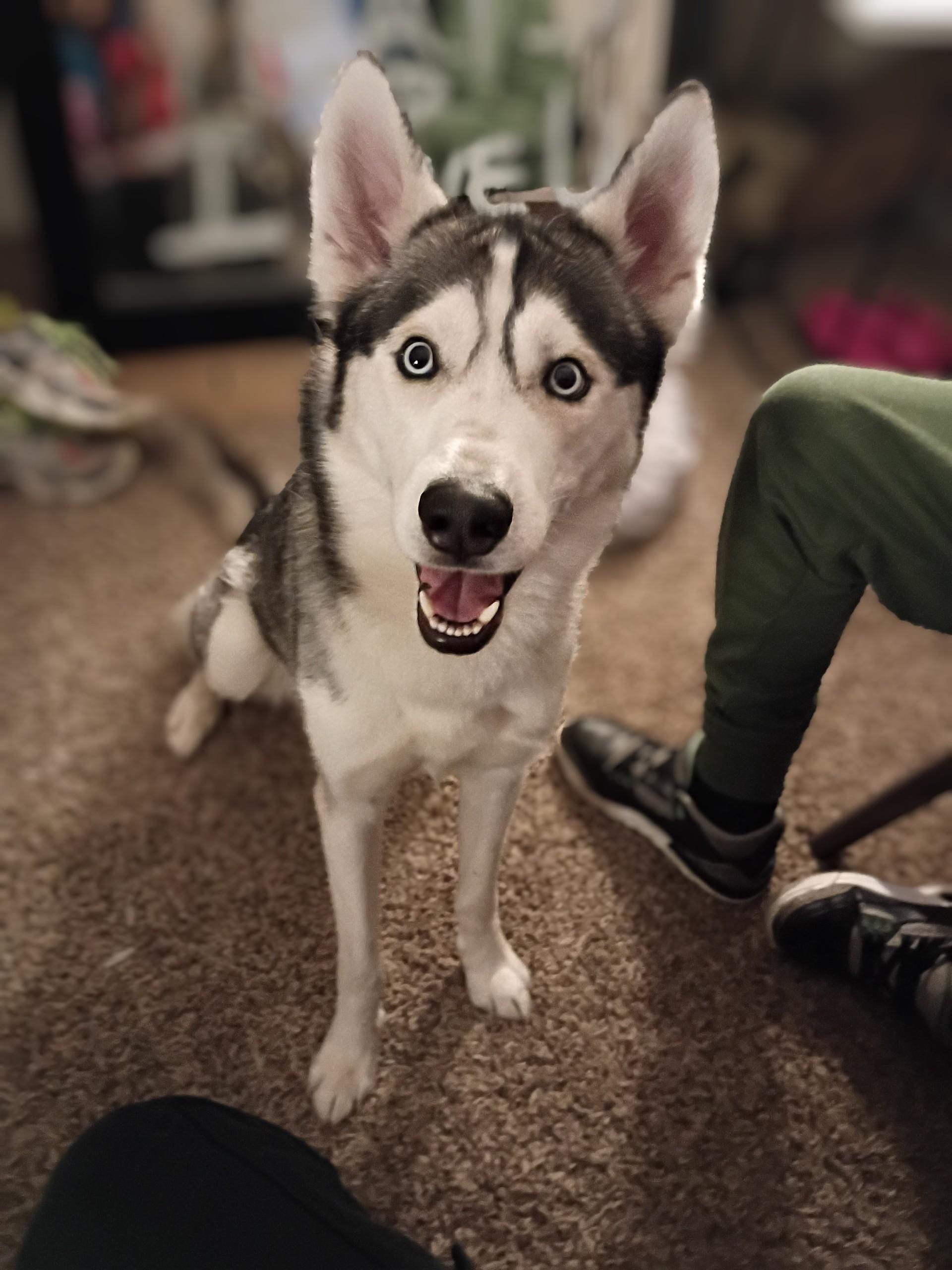 Miko