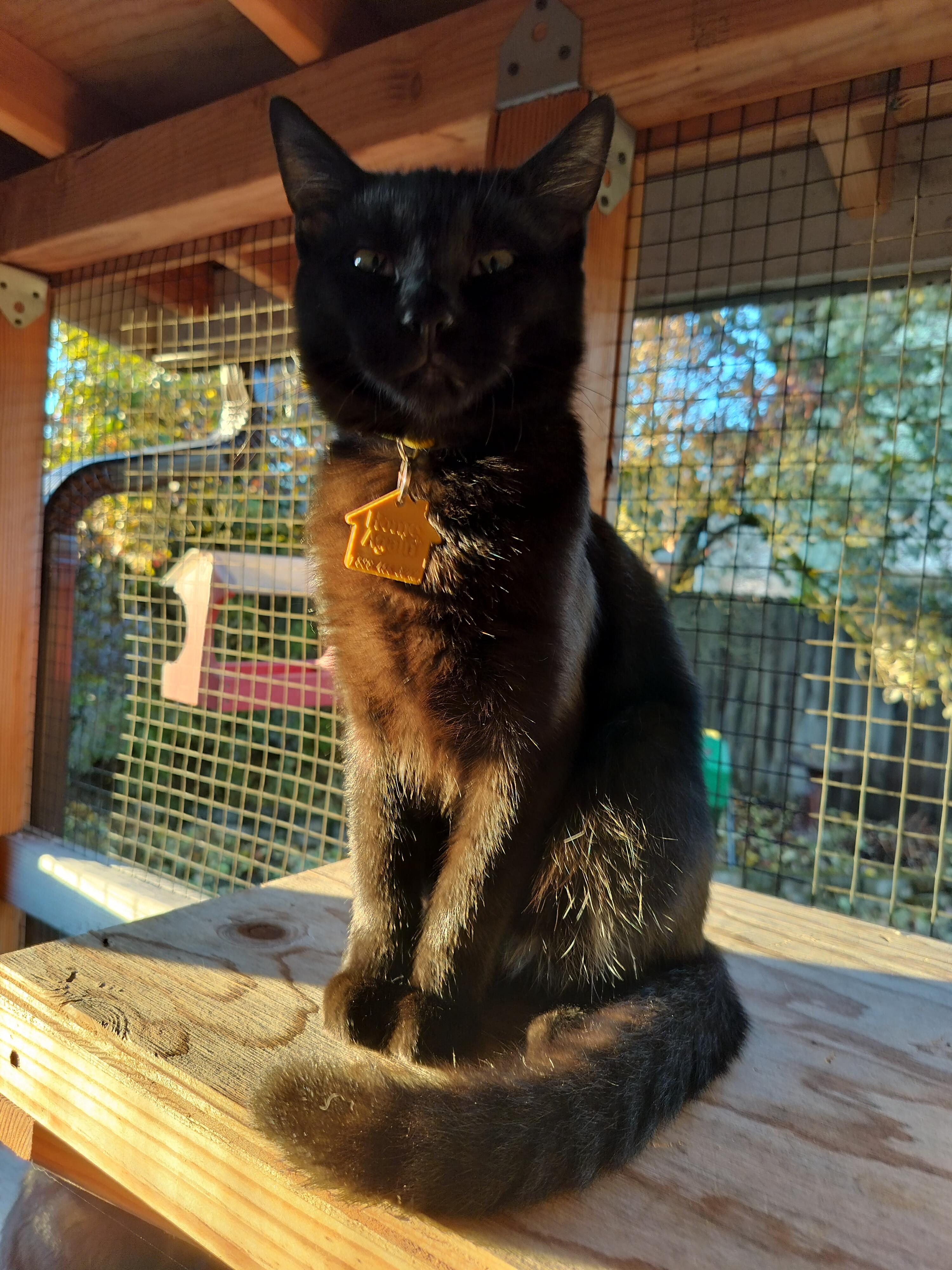 Bud- wants all the love!