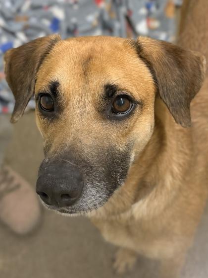 Happy — thumbnail 2