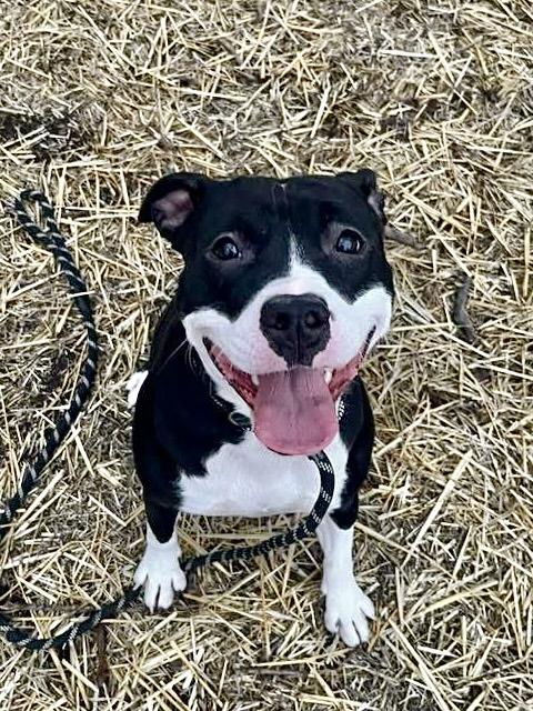 Julieta — thumbnail 2