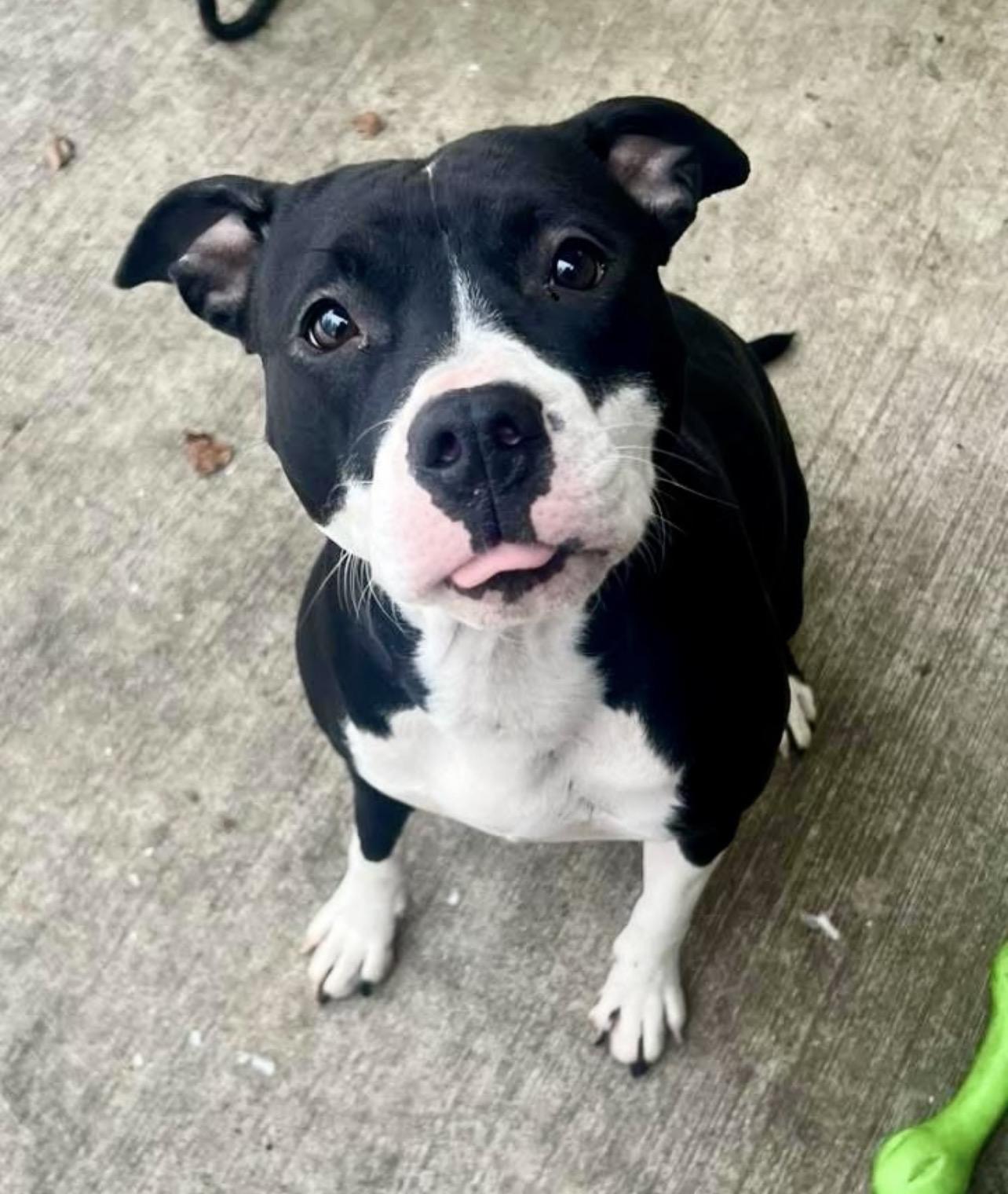 Julieta — thumbnail 3