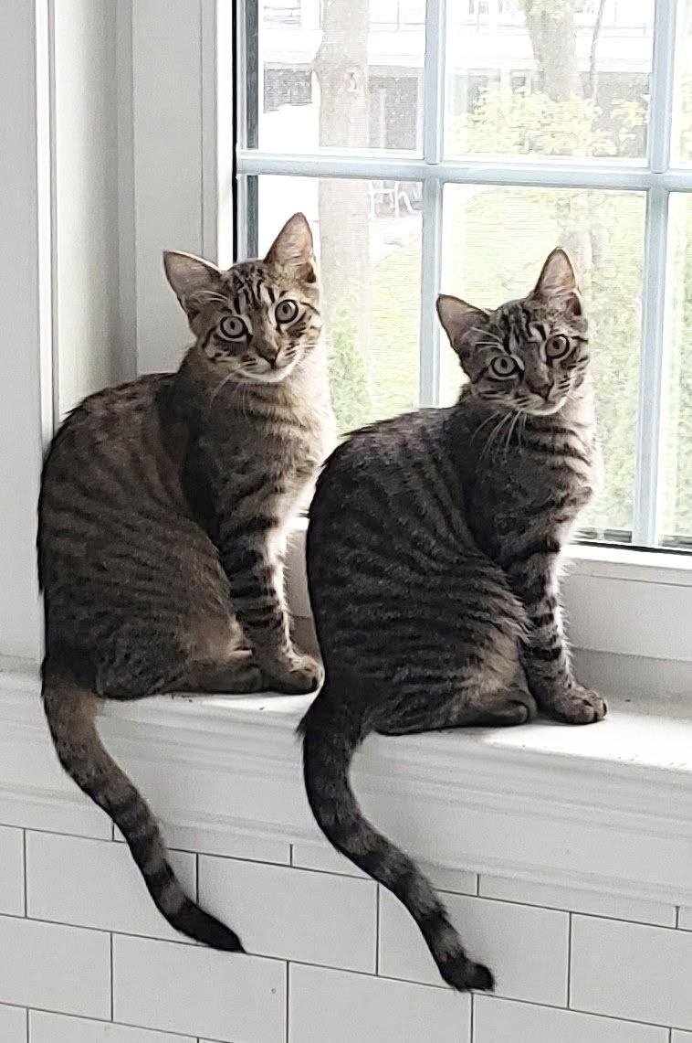 Jake & Lexi photo