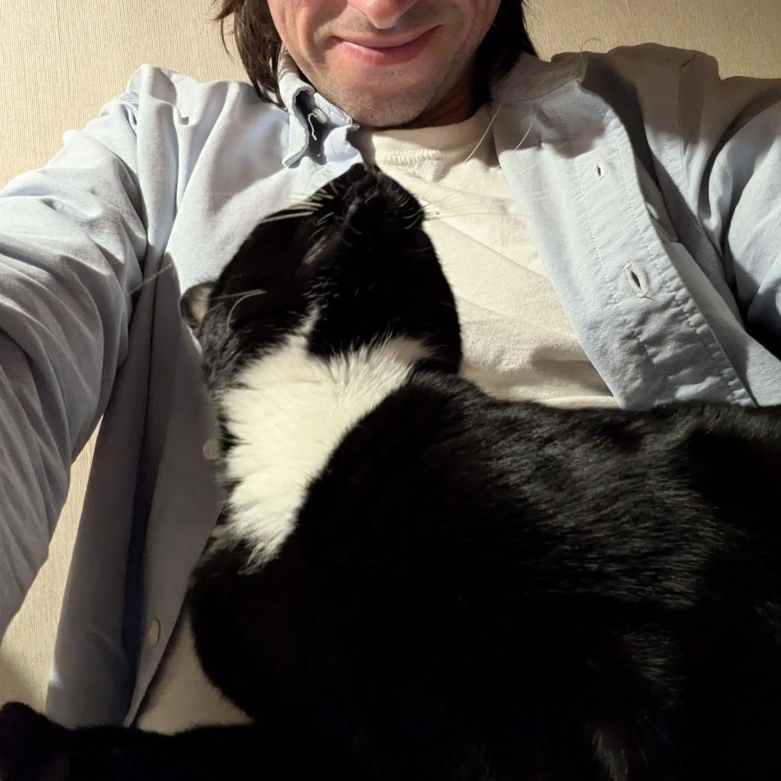 Hail Mary aka Midnite, a ADOPTABLE Domestic Short Hair in Brooklyn, NY image 3/6