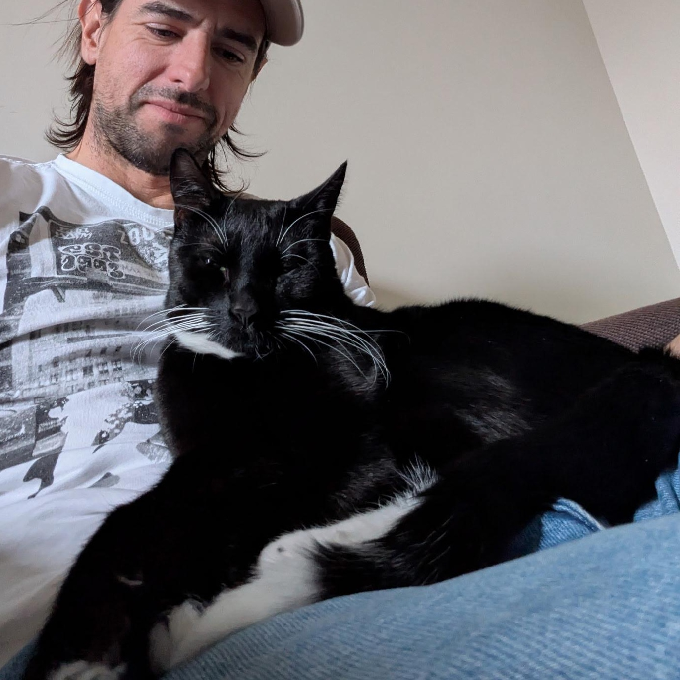 Hail Mary aka Midnite, a ADOPTABLE Domestic Short Hair in Brooklyn, NY image 1/6